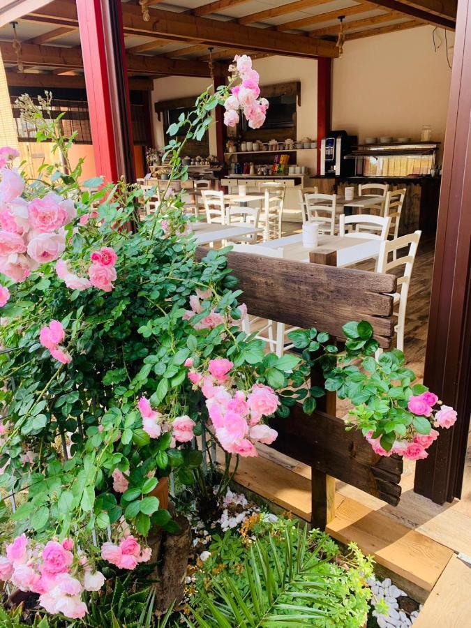 Villa Camporosso Cola  Bagian luar foto